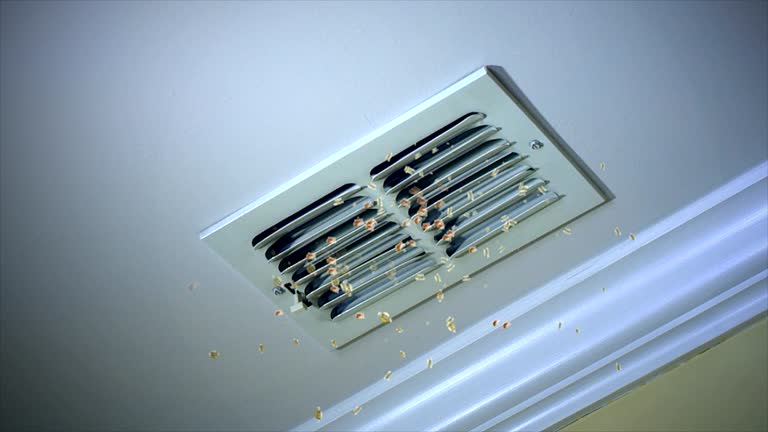 Best Air Duct Cleaning Near Me  in Umatilla, FL