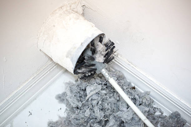 Best Affordable Duct Cleaning Services  in Umatilla, FL