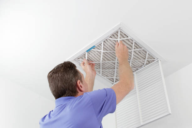 Best Affordable Air Duct Cleaning  in Umatilla, FL
